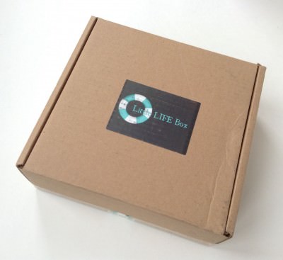 Little Life Box Little Life Box