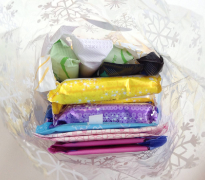 The Supplies (15 tampons, 5 pads and 5 liners)