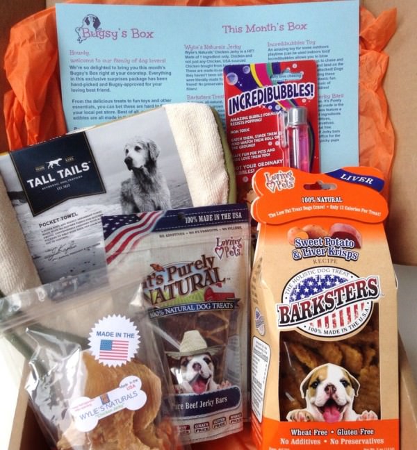 Bugsy’s Box Review + Discount – April 2014