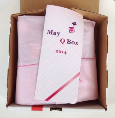 Q Box Review + Promo Code – May 2014