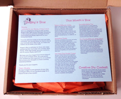 Bugsy’s Box Review + Discount – April 2014