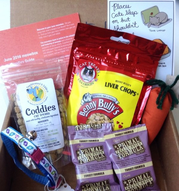 Meowbox Review + Promo Code – June 2014