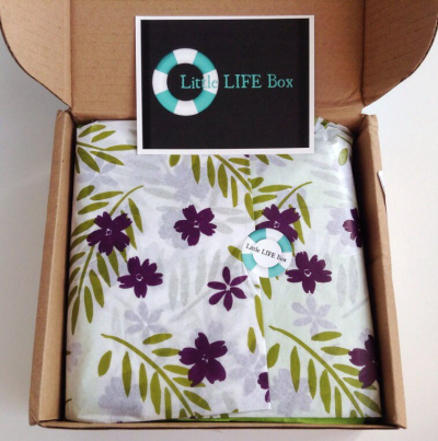 Little Life Box Review + Promo Code – August 2014