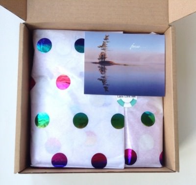 Little Life Box Review + Promo Code – September 2014