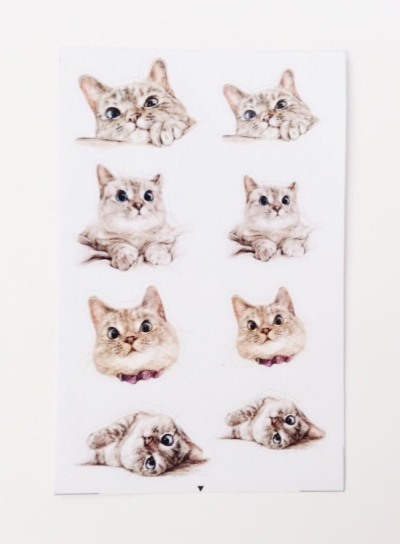 Meowbox Review + Promo Code – October 2014