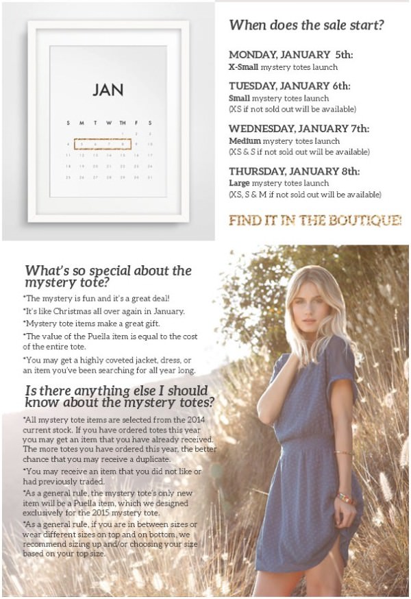 Golden Tote – January The Mystery Tote Details!
