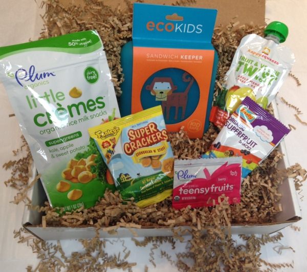 New Subscription Box – Healthy Kid Snack Box