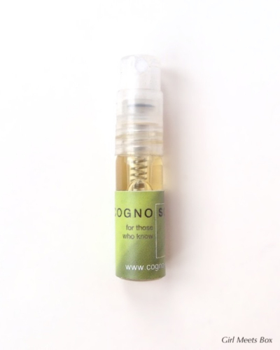 Scent Trunk Review + Coupon Code – December 2014