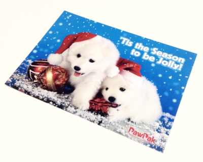 PawPak Review + Coupon Code – December 2014