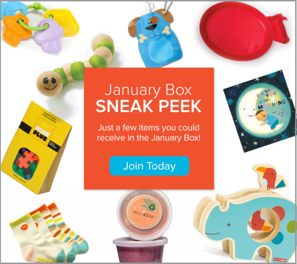 Citrus Lane 40% Off Coupon Code + January Sneak Peak!