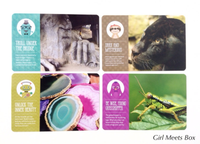 Kiwibop Review – January 2015