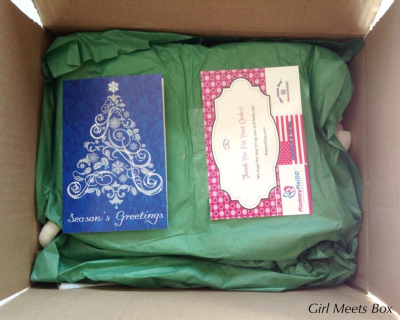 The Stork Bag Review + Coupon Code – December 2014