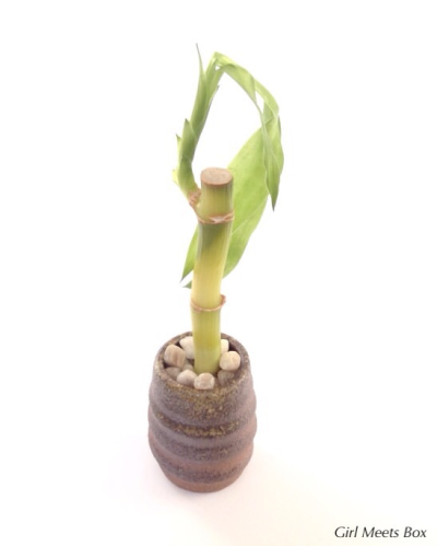 Subscript Decor Review – January 2015