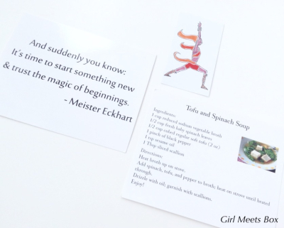 BuddhiBox Review + Coupon Code – January 2015