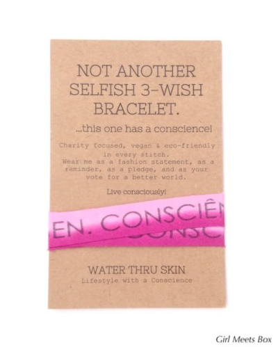 BuddhiBox Review + Coupon Code – January 2015