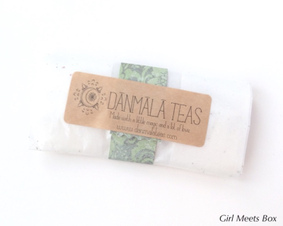 BuddhiBox Review + Coupon Code – January 2015