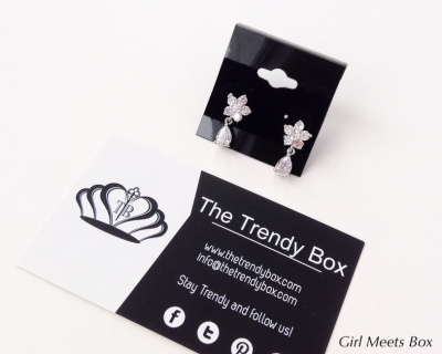 The Trendy Box Review + GIVEAWAY – December 2014