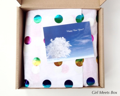Little Life Box Review + Promo Code – January 2015