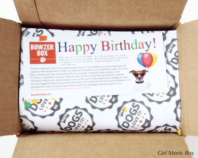 Bowzer Box Review + Discount Code – January 2015