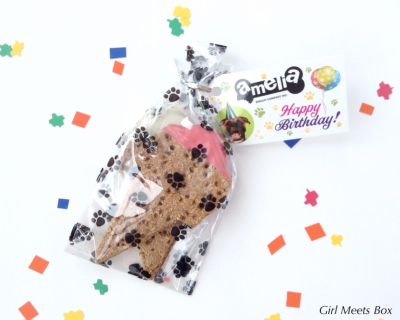 Bowzer Box Review + Discount Code – January 2015
