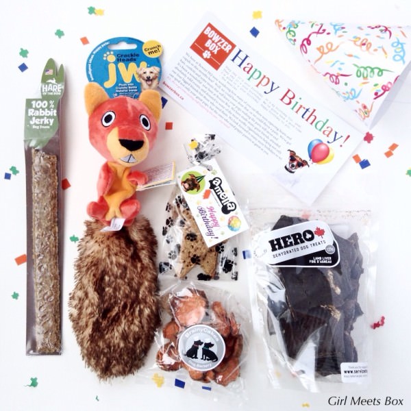 Bowzer Box Review + Discount Code – January 2015