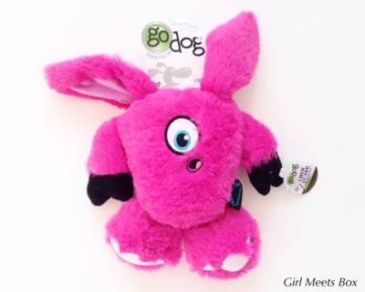 PawPak Review + Coupon Code – January 2015
