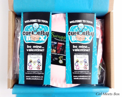 Curiosity Box Review – February 2015