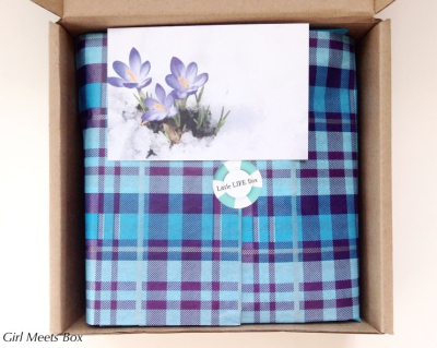 Little Life Box Review + Promo Code – March 2015