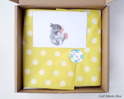 Little Life Box Review + Promo Code – April 2015