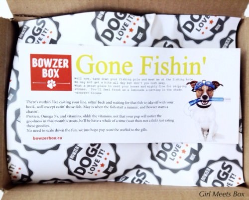 Bowzer Box Review + Discount Code – May 2015
