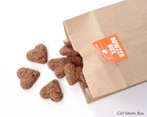 Bowzer Box Review + Discount Code – May 2015