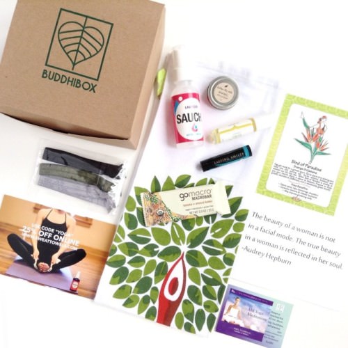 BuddhiBox Review + Coupon Code – May 2015