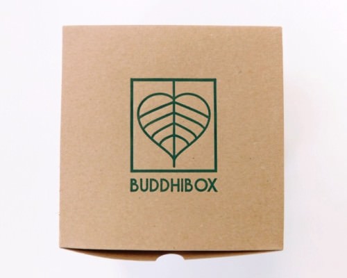 BuddhiBox Review + Coupon Code – June 2015
