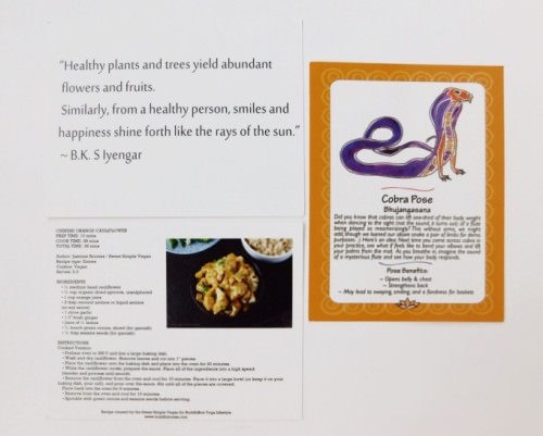 BuddhiBox Review + Coupon Code – June 2015