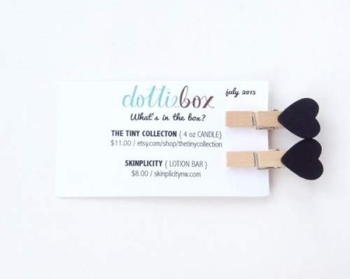 Dottiebox Mini Review – June 2015