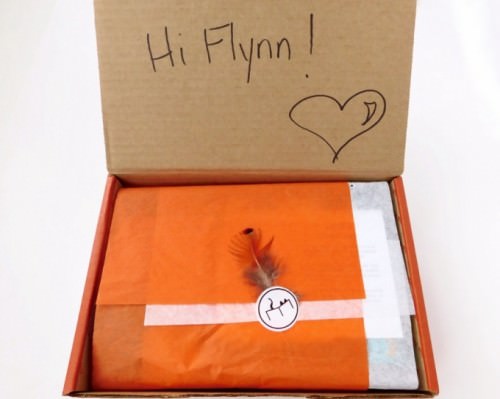 Meowbox Review + Promo Code – June 2015