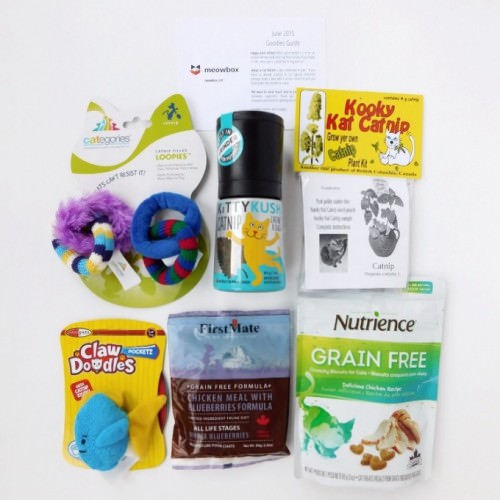 Meowbox Review + Promo Code – June 2015