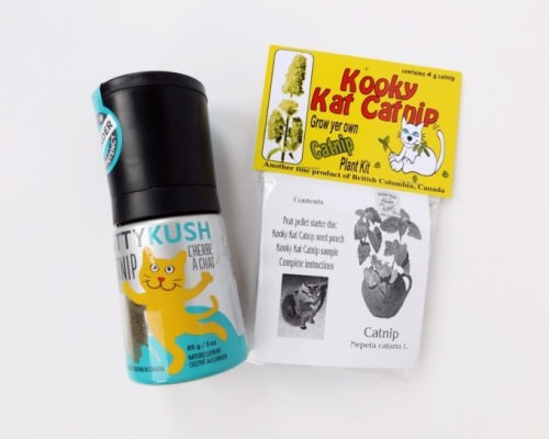 Meowbox Review + Promo Code – June 2015