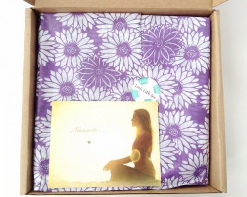 Little Life Box Review + Promo Code – August 2015
