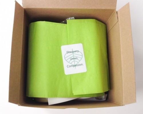 BuddhiBox Review + Coupon Code – September 2015