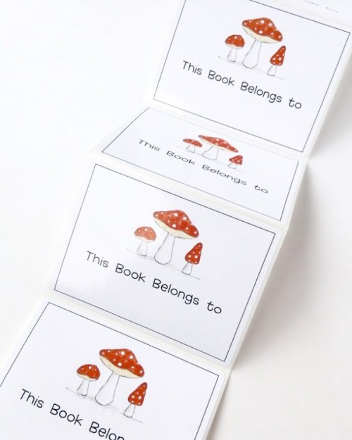 Young Honeytree Post Review +