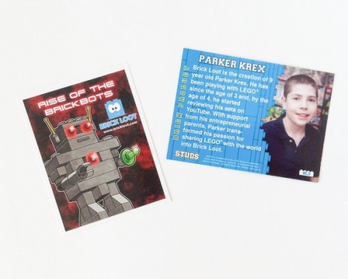 Brick Loot Review + Coupon Code – August 2015