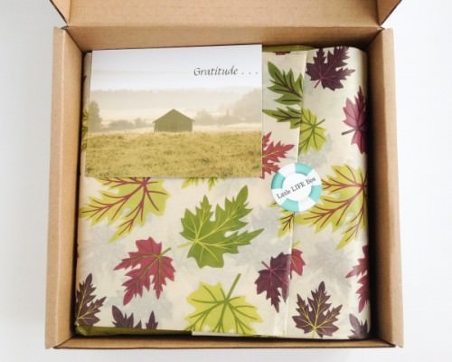 Little Life Box Review + Promo Code – October 2015
