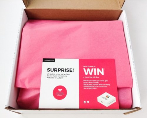Little Life Box Review + Promo Code – November 2015