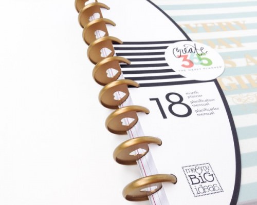 Covet Crate Review + Coupon Code – January 2016