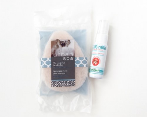 Little Life Box Review + Promo Code – December 2015