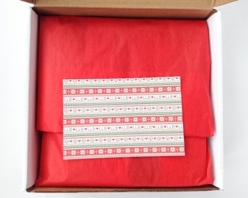 Little Life Box Review + Promo Code – December 2015