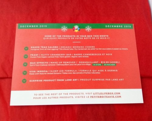 Little Life Box Review + Promo Code – December 2015