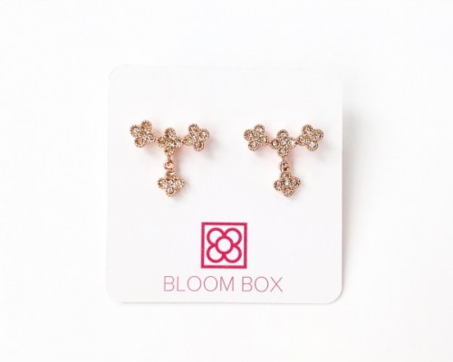 Bloom Box Review + Coupon Code – December 2015