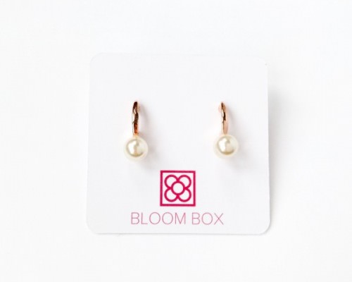 Bloom Box Review + Coupon Code – December 2015